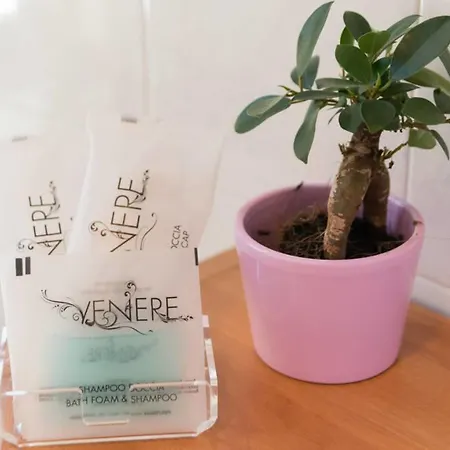 Residenza Quaggio Ca' Grimani