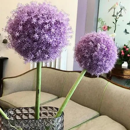 Residenza Quaggio Ca' Grimani Gæstehus Venedig