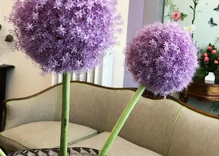 레지덴자 꾸아지오 카 그리마니 게스트하우스 베니스